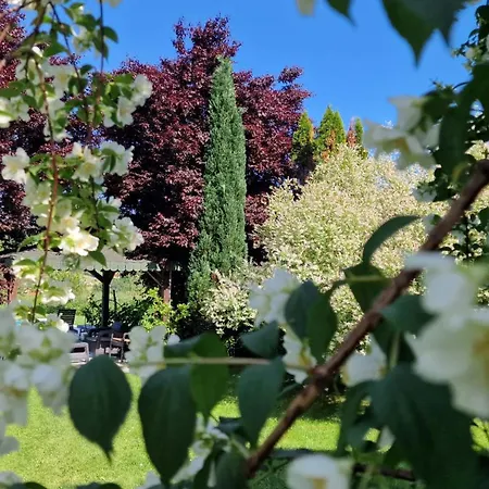 Casa vacanze Pool & Visoko