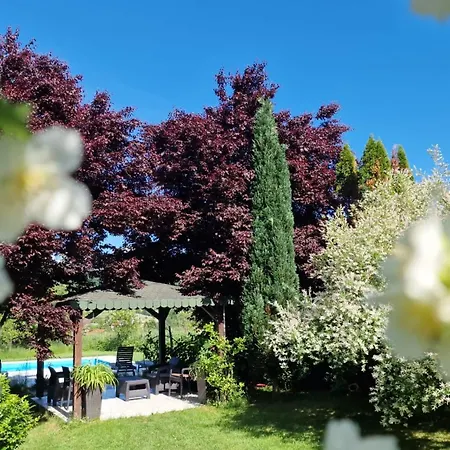 Pool & בית נופש *