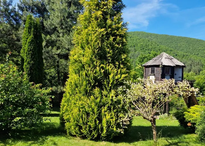 Pool & Feriehus Visoko